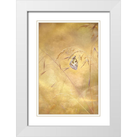 Sprinkle White Modern Wood Framed Art Print with Double Matting by Van Helden, Elisabeth