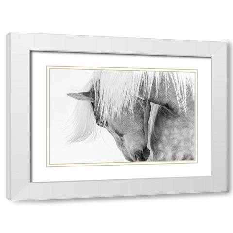 Halflinger Portrait White Modern Wood Framed Art Print with Double Matting by Kimberly