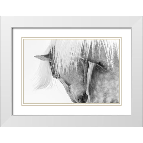 Halflinger Portrait White Modern Wood Framed Art Print with Double Matting by Kimberly