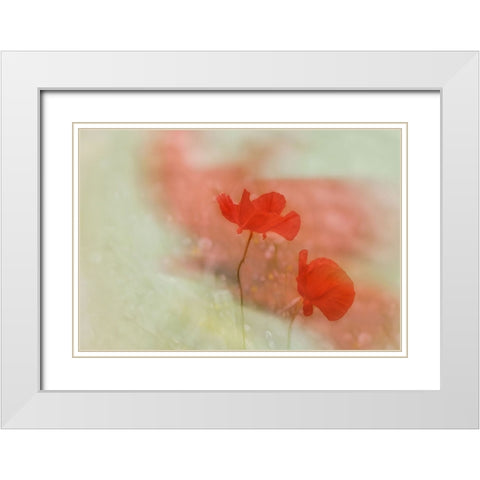 Poppy 2 White Modern Wood Framed Art Print with Double Matting by Stas, Marie-Anne