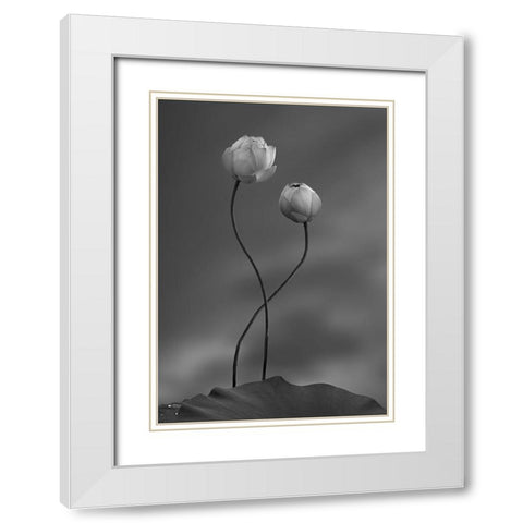 Lotus White Modern Wood Framed Art Print with Double Matting by Wei, Taiga