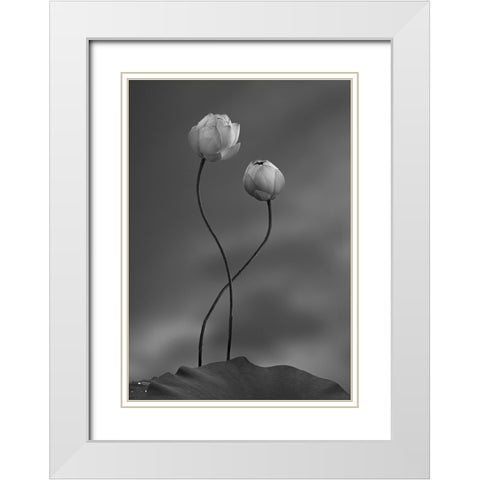 Lotus White Modern Wood Framed Art Print with Double Matting by Wei, Taiga