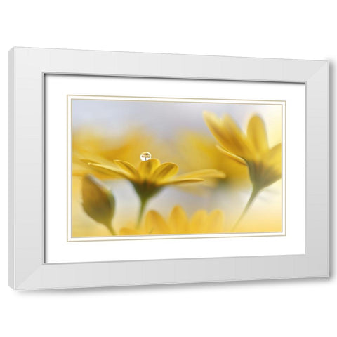 Summer Melody.. White Modern Wood Framed Art Print with Double Matting by Nan, Juliana