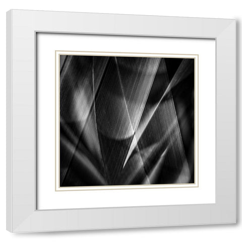 Shadows a edges ab White Modern Wood Framed Art Print with Double Matting by Ciappara Lrps., Simon
