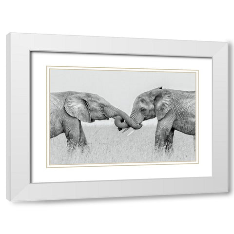 Confrontation White Modern Wood Framed Art Print with Double Matting by Zuo, Jun