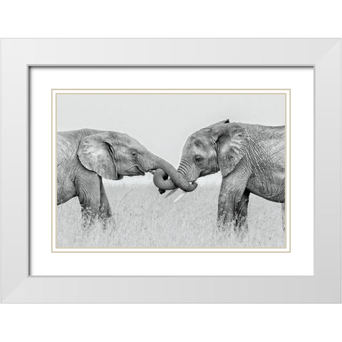 Confrontation White Modern Wood Framed Art Print with Double Matting by Zuo, Jun