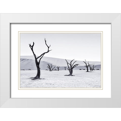 Deadvlei White Modern Wood Framed Art Print with Double Matting by Zheng, Michael