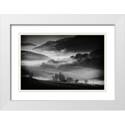 Morning Walk White Modern Wood Framed Art Print with Double Matting by Svoboda Mqep, Peter