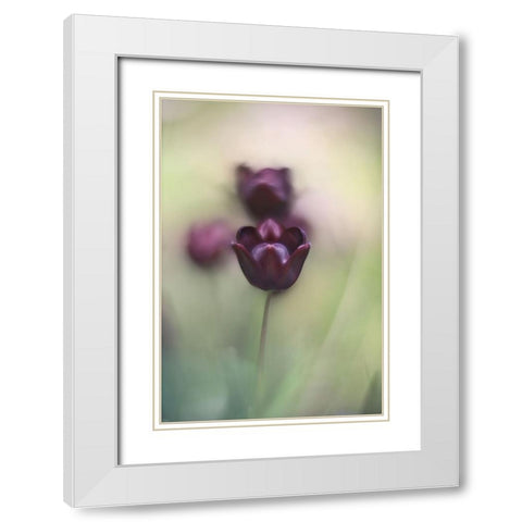 Projectorlens Photo White Modern Wood Framed Art Print with Double Matting by van marwijk, tonnie