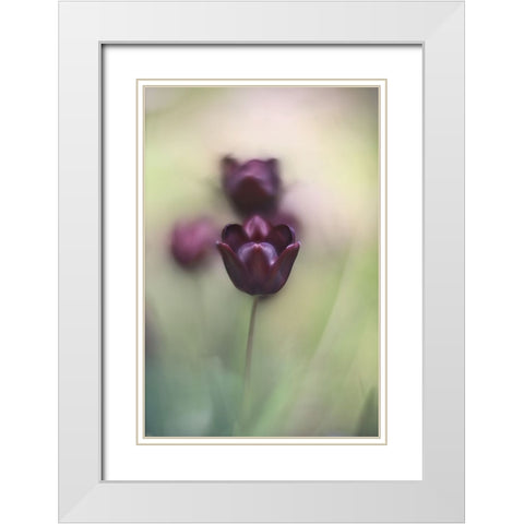 Projectorlens Photo White Modern Wood Framed Art Print with Double Matting by van marwijk, tonnie