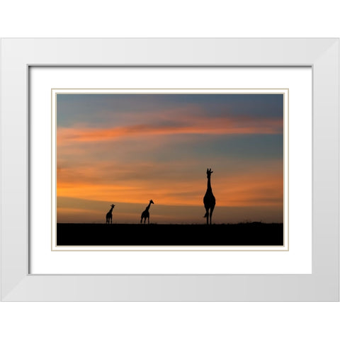 ddidcdsd ddldcdndids dydcdcd d ddcddbdudsd White Modern Wood Framed Art Print with Double Matting by Sobhi, Ahmed