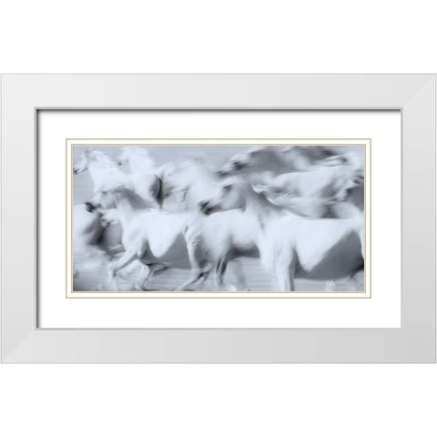 Herd of White Arabian Mares White Modern Wood Framed Art Print with Double Matting by Leinemann, Ulrike
