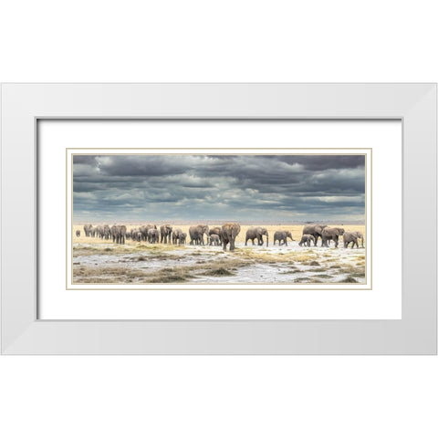 The March for Survival White Modern Wood Framed Art Print with Double Matting by C. Sink, Jeffrey