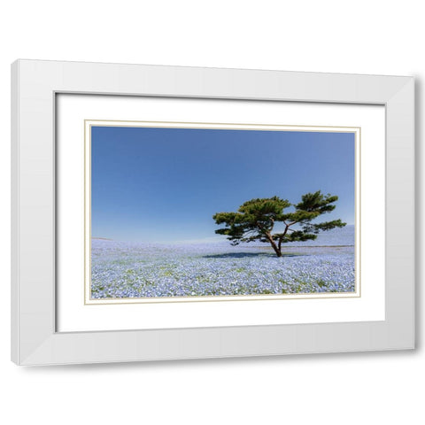 Nemophila Hill White Modern Wood Framed Art Print with Double Matting by Aoki, Juri