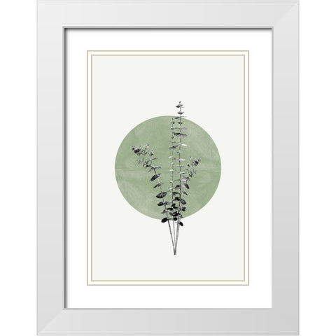 Eucalyptus and Green Moon White Modern Wood Framed Art Print with Double Matting by The Miuus Studio