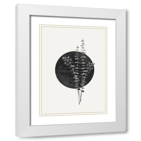 Plant and Black Sun White Modern Wood Framed Art Print with Double Matting by The Miuus Studio