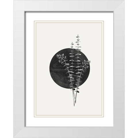 Plant and Black Sun White Modern Wood Framed Art Print with Double Matting by The Miuus Studio