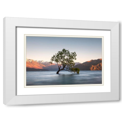 wanaka tree White Modern Wood Framed Art Print with Double Matting by Schaarschmidt, Christoph