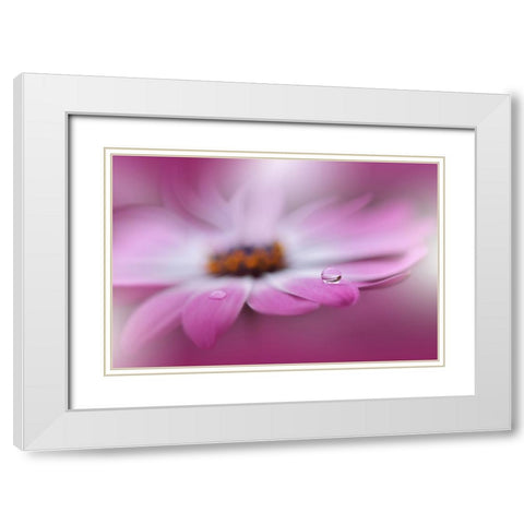 Celebration Of Life.. White Modern Wood Framed Art Print with Double Matting by Nan, Juliana