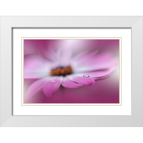 Celebration Of Life.. White Modern Wood Framed Art Print with Double Matting by Nan, Juliana