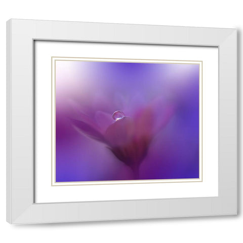 Colors Of Love...III White Modern Wood Framed Art Print with Double Matting by Nan, Juliana