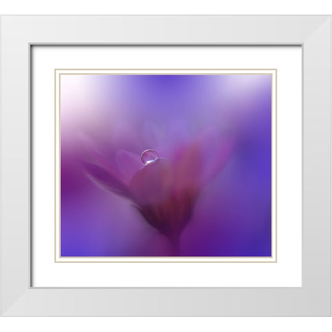 Colors Of Love...III White Modern Wood Framed Art Print with Double Matting by Nan, Juliana
