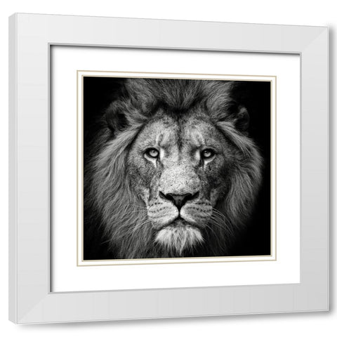 Stare Me Down #3 White Modern Wood Framed Art Print with Double Matting by Meermann, Christian