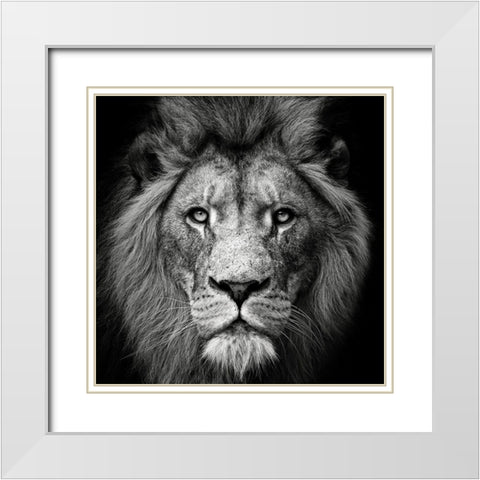 Stare Me Down #3 White Modern Wood Framed Art Print with Double Matting by Meermann, Christian