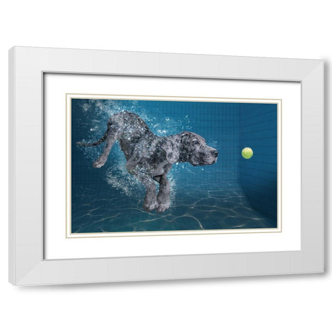 Splashdog White Modern Wood Framed Art Print with Double Matting by Egger, Marcel