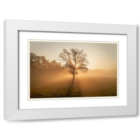 Lonely tree White Modern Wood Framed Art Print with Double Matting by Krivec, Ales