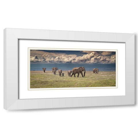Amboseli wonderland White Modern Wood Framed Art Print with Double Matting by C. Sink, Jeffrey