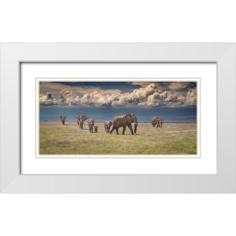 Amboseli wonderland White Modern Wood Framed Art Print with Double Matting by C. Sink, Jeffrey