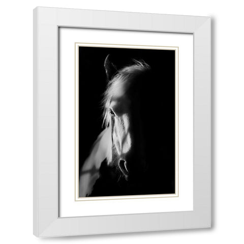 Catching Light White Modern Wood Framed Art Print with Double Matting by Wilson, Francis