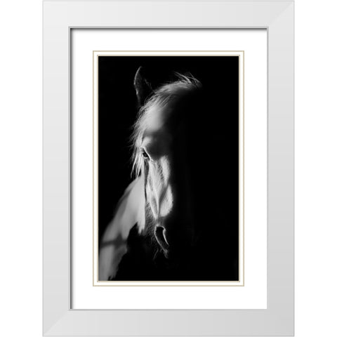 Catching Light White Modern Wood Framed Art Print with Double Matting by Wilson, Francis