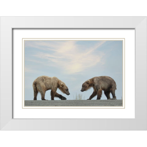 On Their Own White Modern Wood Framed Art Print with Double Matting by D Lester, Linda