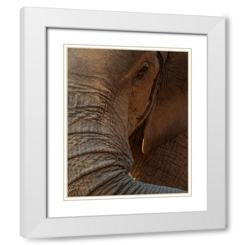 the eye White Modern Wood Framed Art Print with Double Matting by Baekelandt, Luc