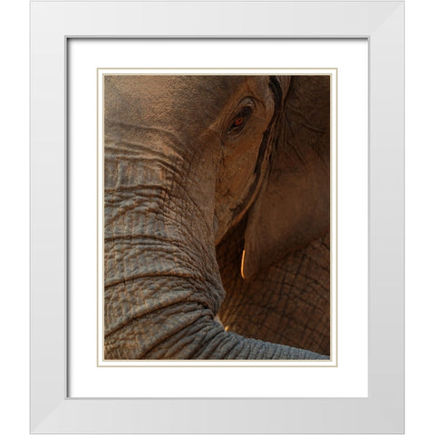 the eye White Modern Wood Framed Art Print with Double Matting by Baekelandt, Luc