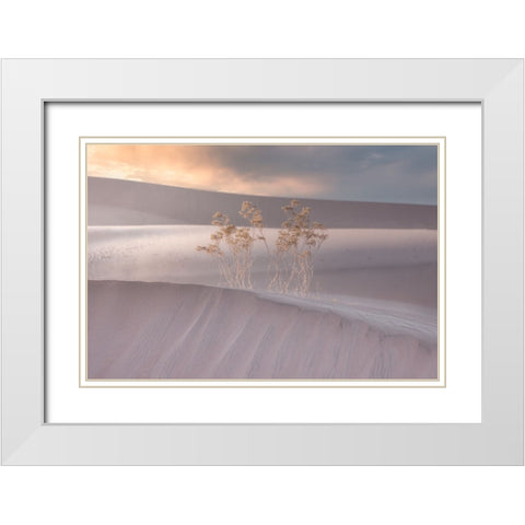 Untitled White Modern Wood Framed Art Print with Double Matting by Ali Amir, Abbas