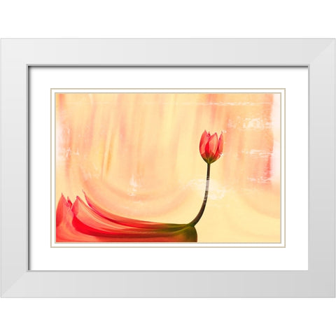 dancer White Modern Wood Framed Art Print with Double Matting by Ignatova, Desislava