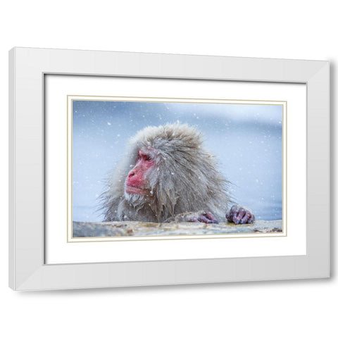 A Regular Day White Modern Wood Framed Art Print with Double Matting by Aktas, Ozan