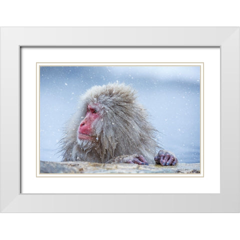 A Regular Day White Modern Wood Framed Art Print with Double Matting by Aktas, Ozan