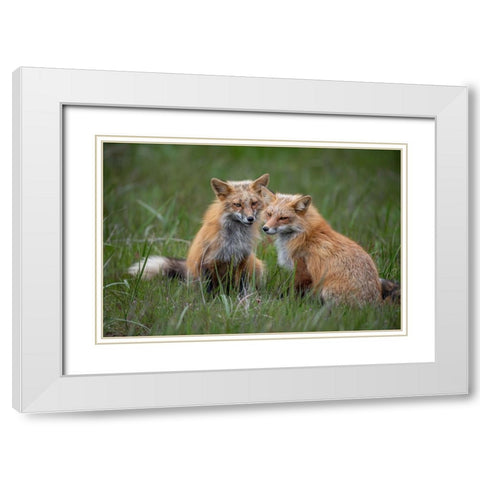 Watching White Modern Wood Framed Art Print with Double Matting by Cheng, Jie