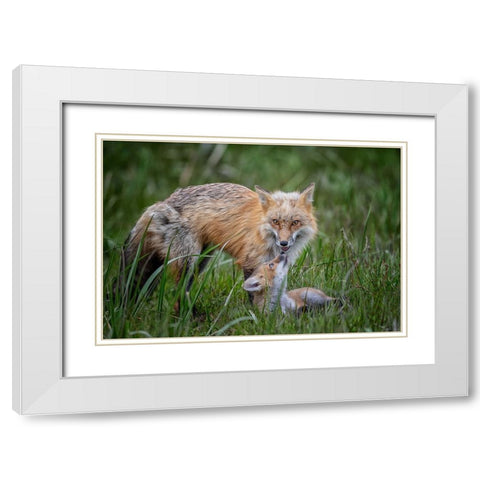 Love White Modern Wood Framed Art Print with Double Matting by Cheng, Jie