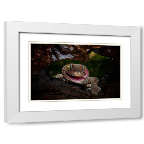 Smiley White Modern Wood Framed Art Print with Double Matting by Suharini, Mieke