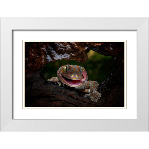 Smiley White Modern Wood Framed Art Print with Double Matting by Suharini, Mieke