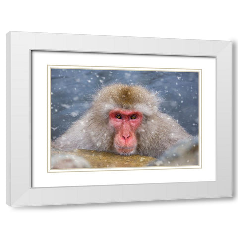 Eye Contact White Modern Wood Framed Art Print with Double Matting by Aktas, Ozan