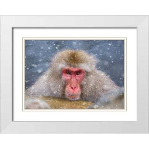 Eye Contact White Modern Wood Framed Art Print with Double Matting by Aktas, Ozan