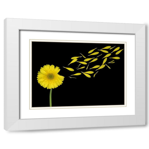 Blowing In The Wind White Modern Wood Framed Art Print with Double Matting by Wolbers, Louise