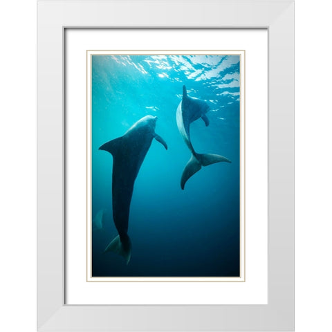 Shapes Of Water White Modern Wood Framed Art Print with Double Matting by Melesan, Serge