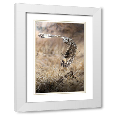 fly into the sky White Modern Wood Framed Art Print with Double Matting by Matsubara, Hiroki